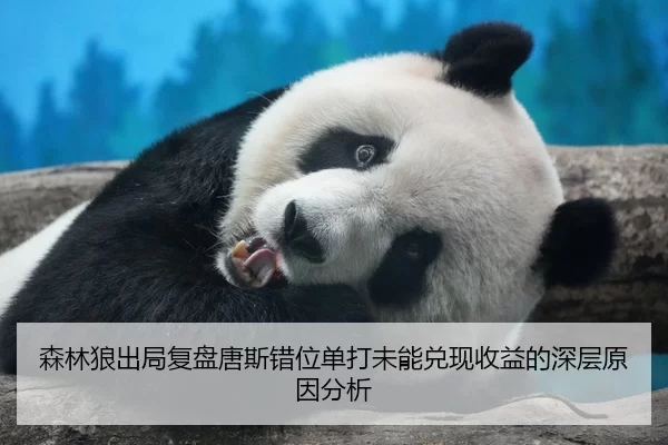 森林狼出局复盘唐斯错位单打未能兑现收益的深层原因分析