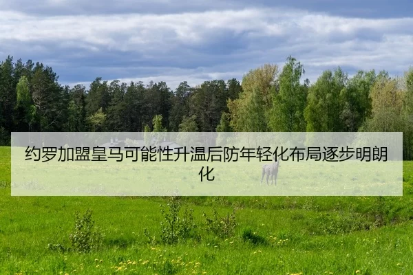 约罗加盟皇马可能性升温后防年轻化布局逐步明朗化