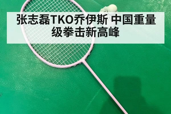 张志磊TKO乔伊斯 中国重量级拳击新高峰（jiuyou）